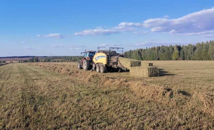 В Новосибирской области убытки от загубленных посевов составили 1 миллиард рублей