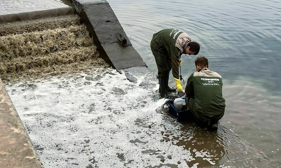 А еще матом кроет: почему волгоградцы устали от Бочарова tidttiqzqiqkdkrt dkiqrkiqueidehvls